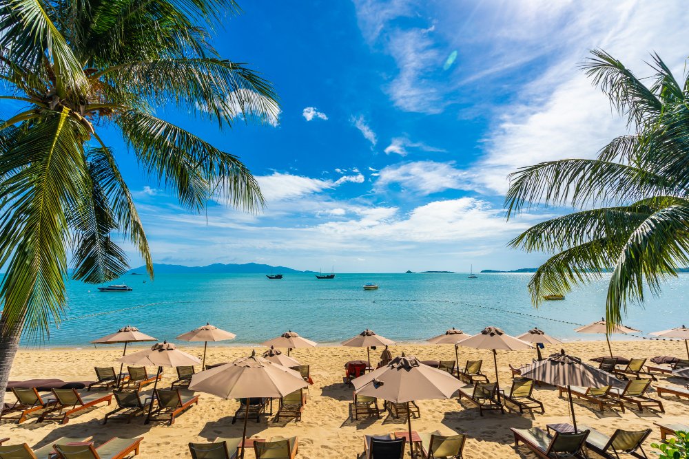 Beach with palm trees and umbrellas in Puerto Vallarta